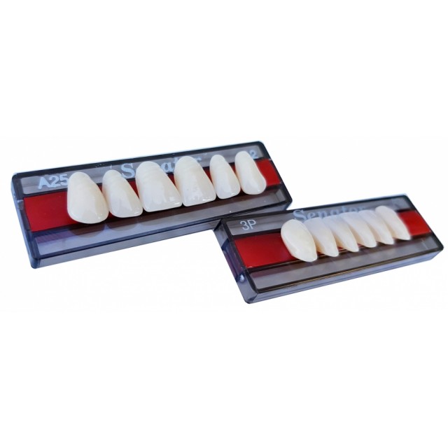 Wright Senator - UK - 3 Layer Classic Value Acrylic Teeth
